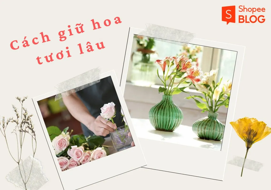 Mách bạn 7 cách giữ hoa tươi lâu mà ít ai biết