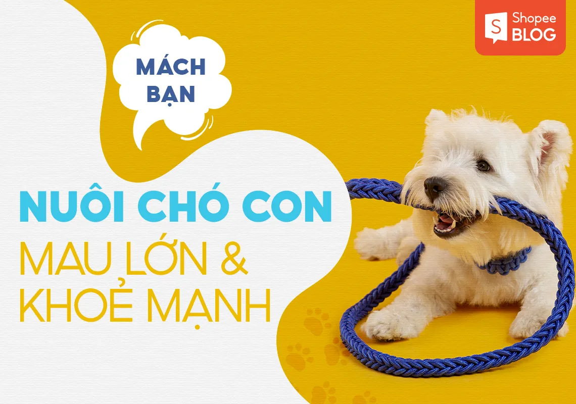 Mách bạn cách nuôi chó con mau lớn và khỏe mạnh