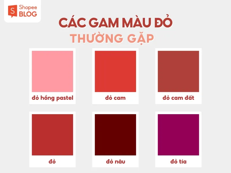 Màu đỏ phối với màu gì sành điệu? Gợi ý 21+ cách phối màu đỏ nổi bật