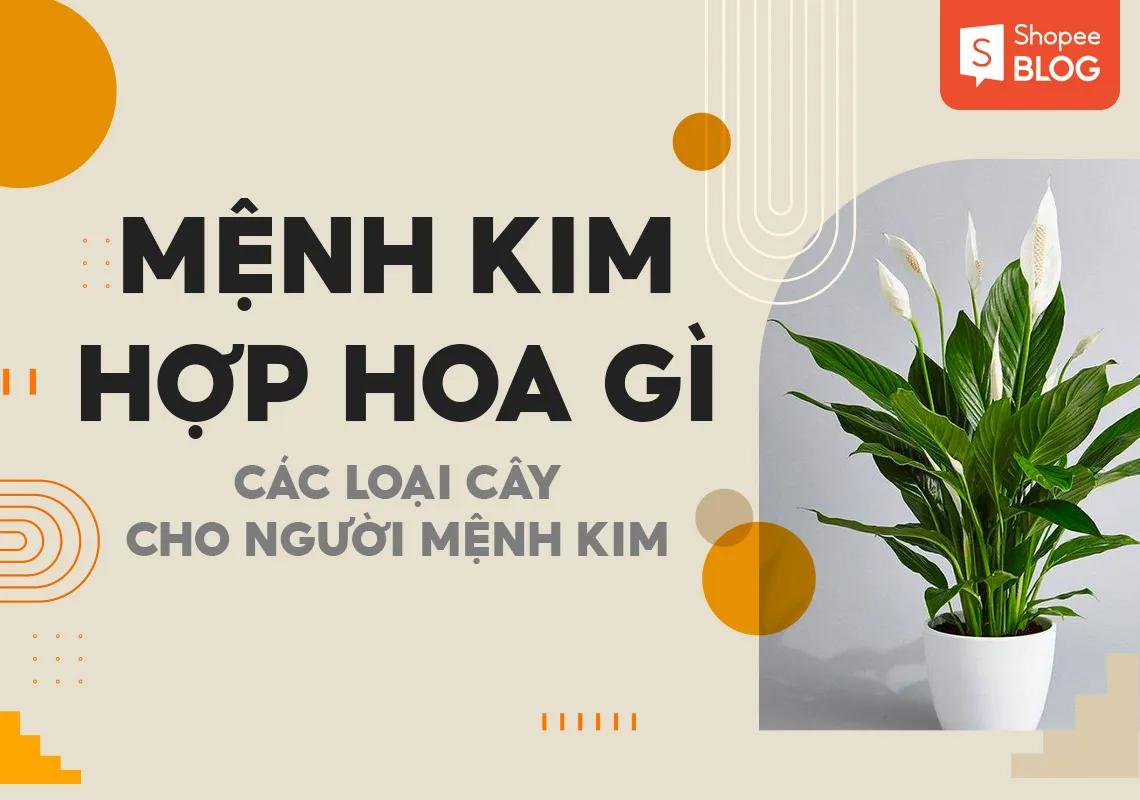 Mệnh Kim hợp hoa gì? 8 loài cây cho người mệnh Kim 2023