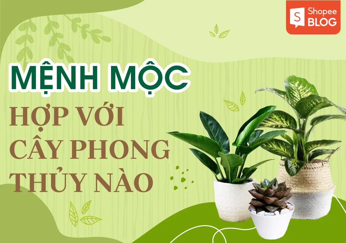 Mệnh Mộc hợp hoa gì? Cây phong thủy cho người mệnh Mộc 2023