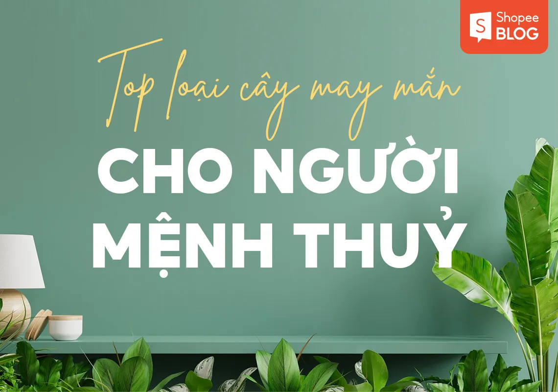 Mệnh Thủy hợp hoa gì? Top 8 loại cây may mắn cho người mệnh Thủy 2023