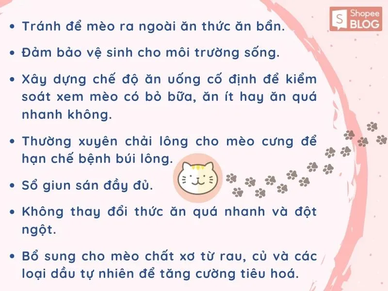 Mèo bị nôn: Nguyên nhân, cách chữa trị tại gia