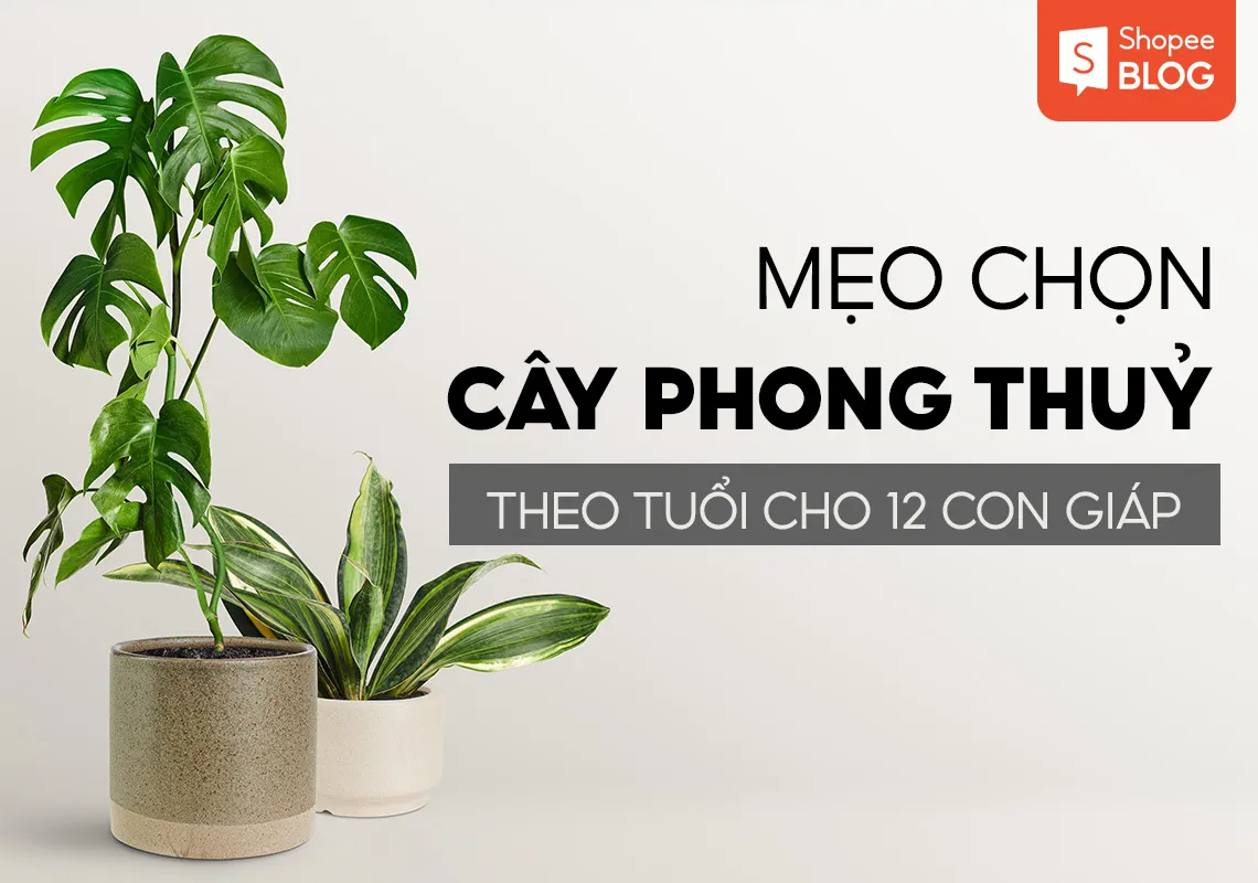 Mẹo chọn cây phong thủy theo tuổi cho 12 con giáp