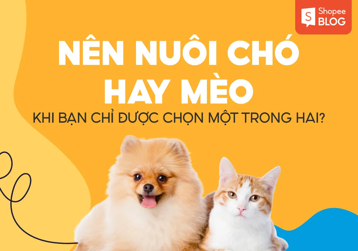 Nên nuôi chó hay mèo khi bạn chỉ được chọn một trong hai?