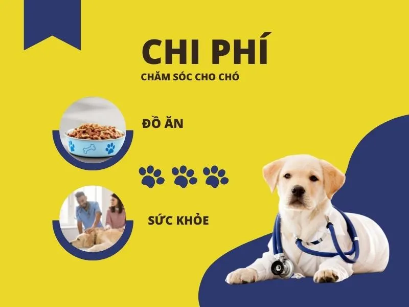 Nên nuôi chó hay mèo khi bạn chỉ được chọn một trong hai?