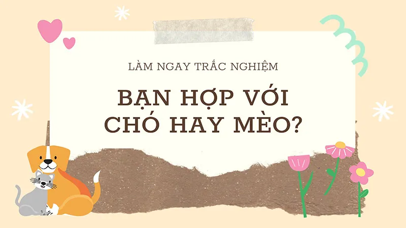 Nên nuôi chó hay mèo khi bạn chỉ được chọn một trong hai?