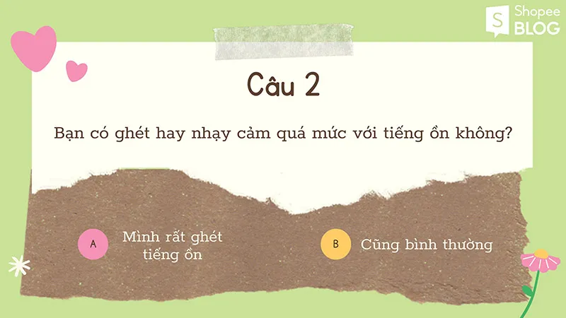 Nên nuôi chó hay mèo khi bạn chỉ được chọn một trong hai?