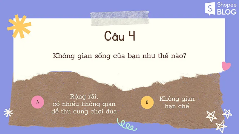 Nên nuôi chó hay mèo khi bạn chỉ được chọn một trong hai?