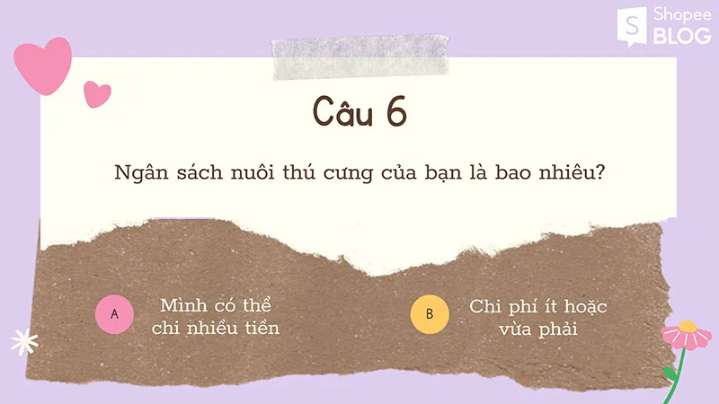 Nên nuôi chó hay mèo khi bạn chỉ được chọn một trong hai?