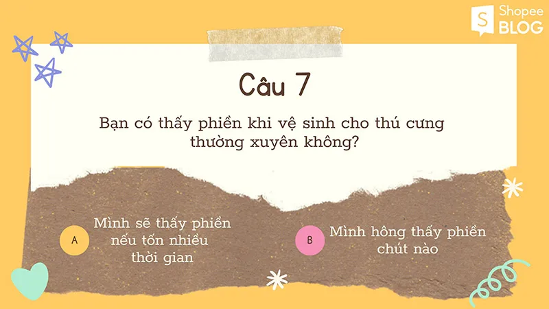 Nên nuôi chó hay mèo khi bạn chỉ được chọn một trong hai?