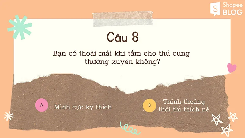 Nên nuôi chó hay mèo khi bạn chỉ được chọn một trong hai?