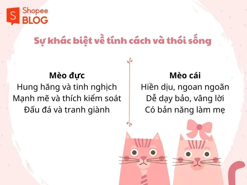 Nên nuôi mèo đực hay cái thì tốt hơn cho chủ?