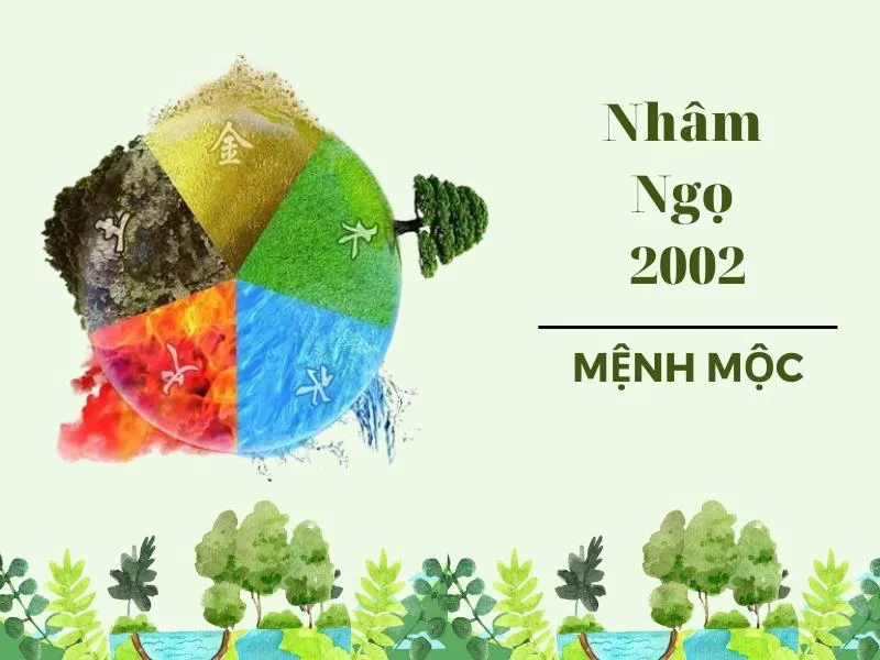 Nhâm Ngọ 2002 mệnh gì, hợp với tuổi nào, hướng nào tốt?