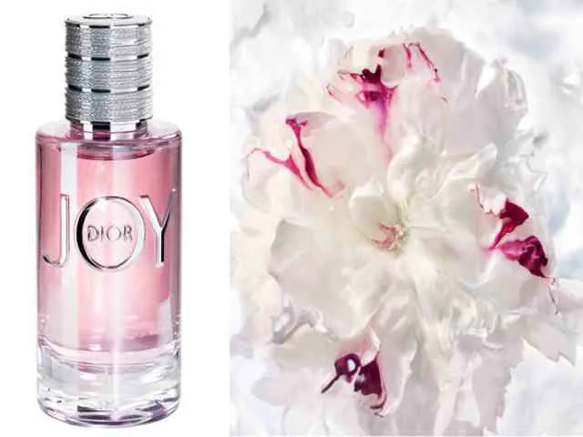 Nước hoa Joy by Dior – Dòng nước hoa lấy cảm hứng từ bộ phim Joy