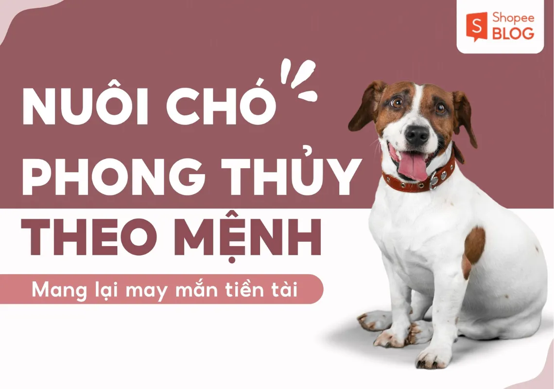 Nuôi chó phong thủy theo mệnh mang lại may mắn tiền tài