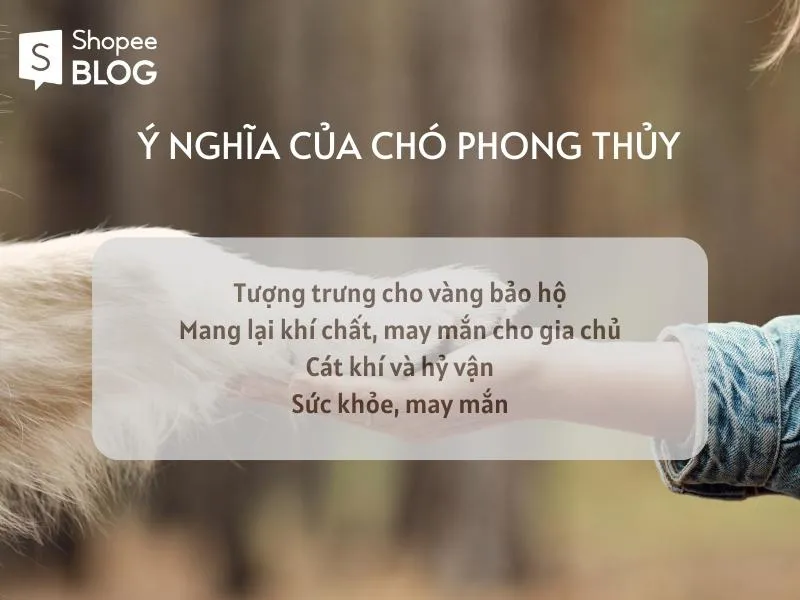 Nuôi chó phong thủy theo mệnh mang lại may mắn tiền tài