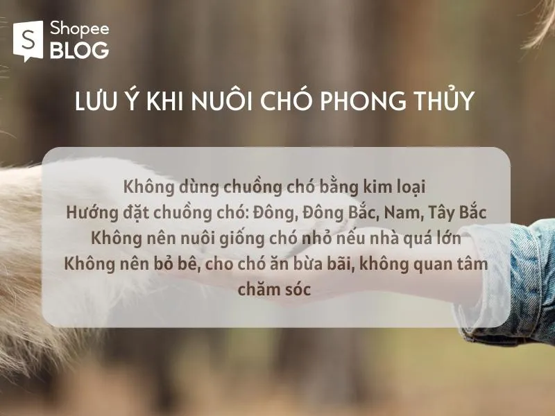 Nuôi chó phong thủy theo mệnh mang lại may mắn tiền tài