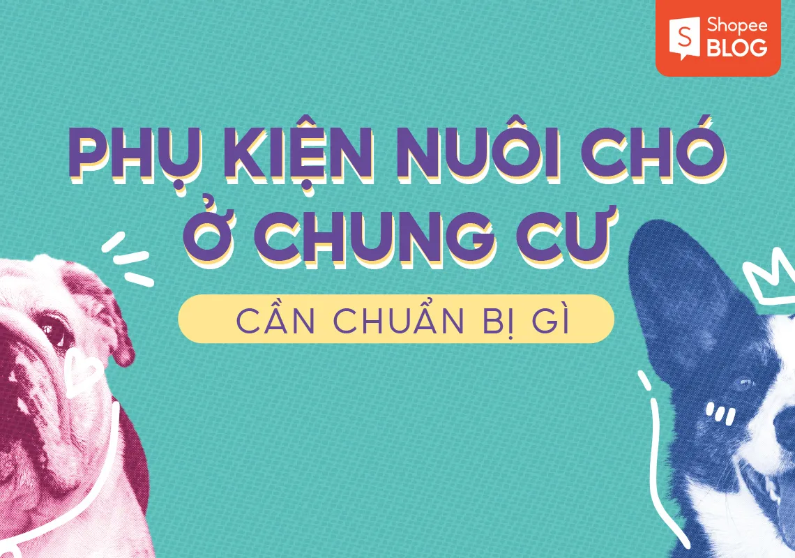 Phụ kiện nuôi chó ở chung cư cần chuẩn bị gì?