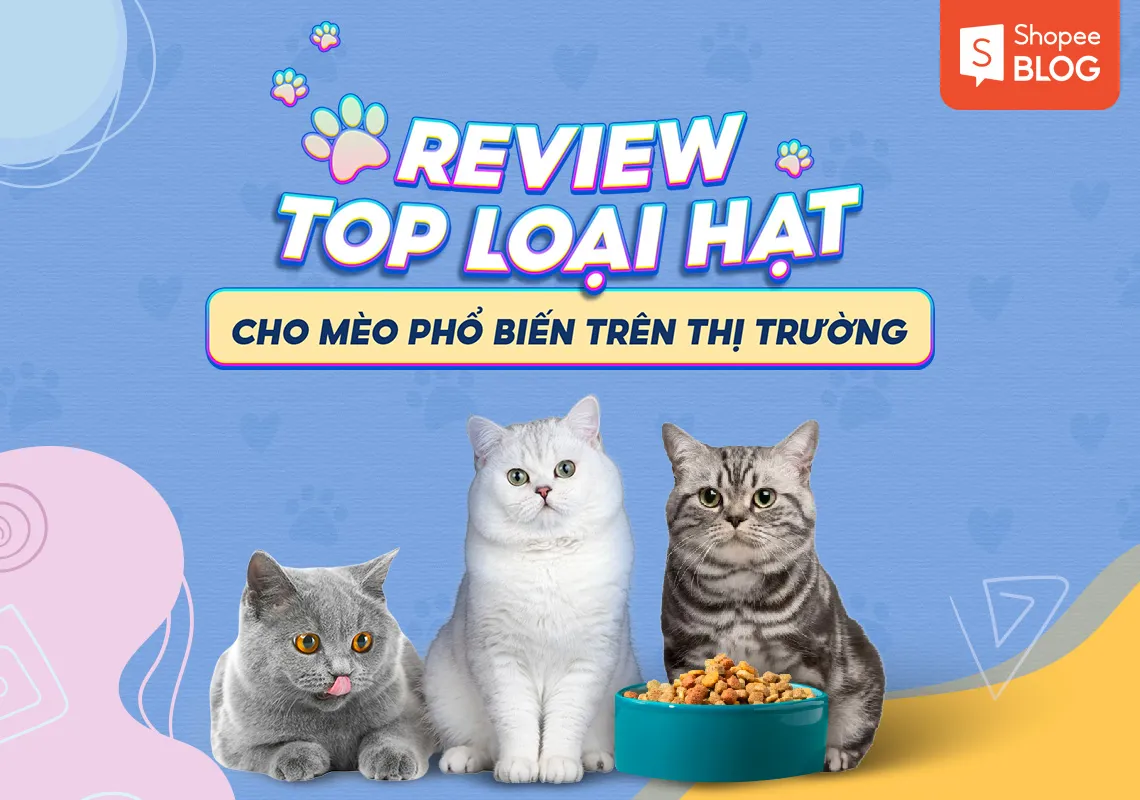 Review top 8 các loại hạt cho mèo phổ biến trên thị trường