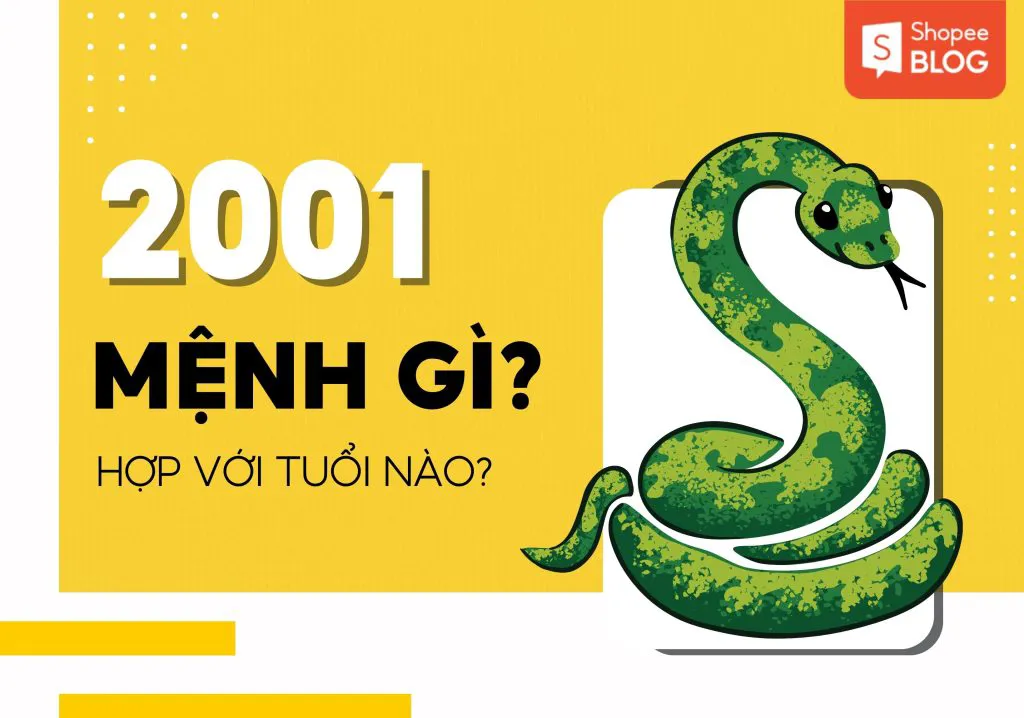 Sinh năm 2001 mệnh gì, tuổi gì? Tuổi Tân Tỵ 2001 hợp tuổi nào, màu nào?