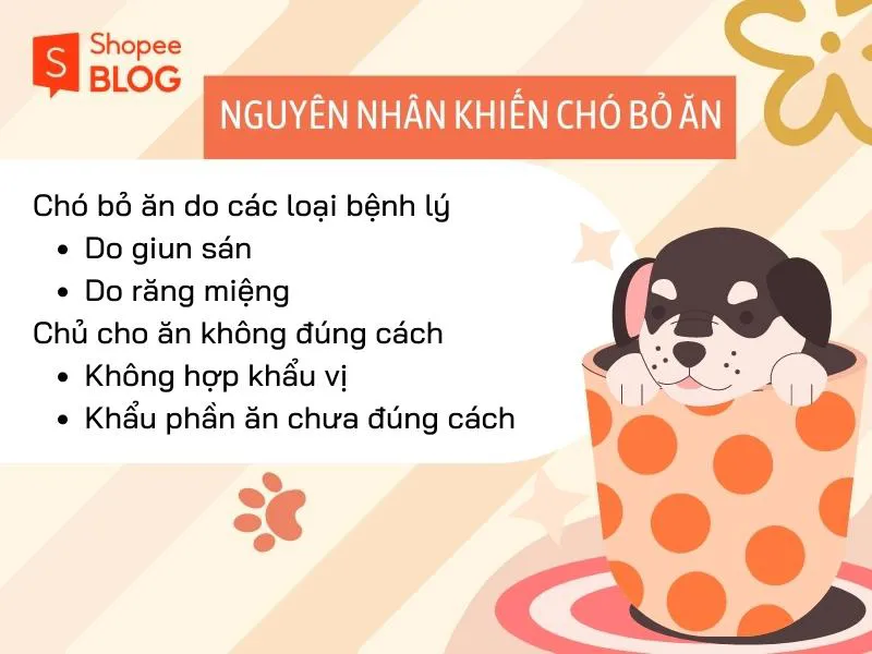 Tại sao chó bỏ ăn? Bạn có đang cho chó ăn đúng cách?