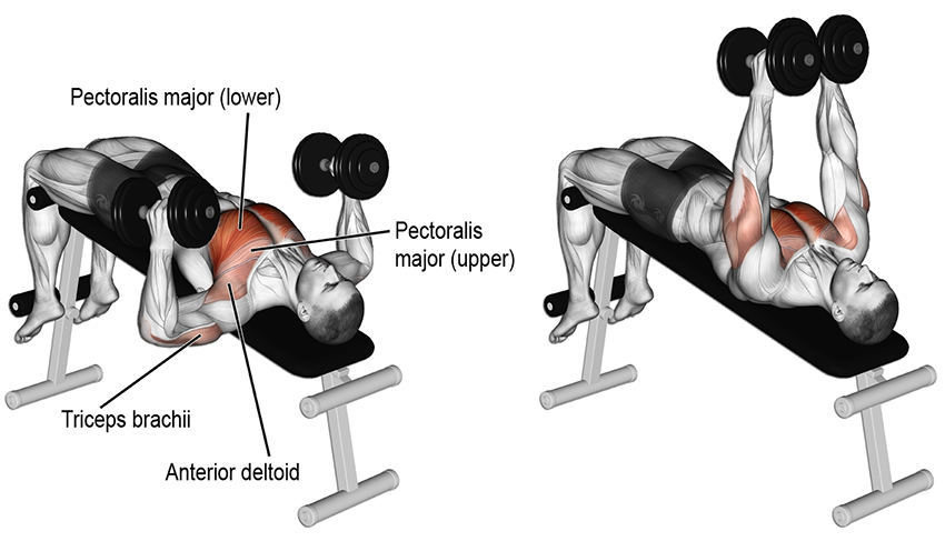 Tập gym cho người mới bắt đầu và những điều cần lưu ý