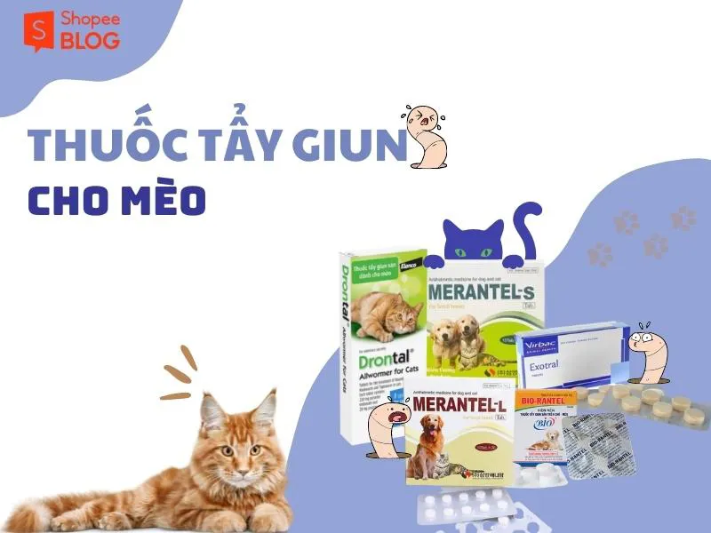 Tẩy giun cho mèo có cần thiết không? Nên tẩy giun khi nào là tốt nhất?