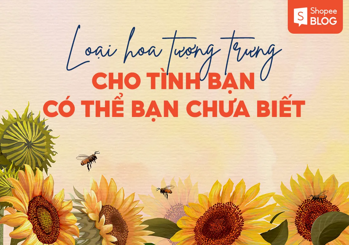 Top 11 loài hoa tượng trưng cho tình bạn có thể bạn chưa biết