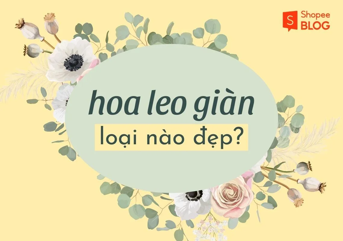 Top 7 các loại hoa leo giàn dễ trồng cho nhà xinh đẹp mắt