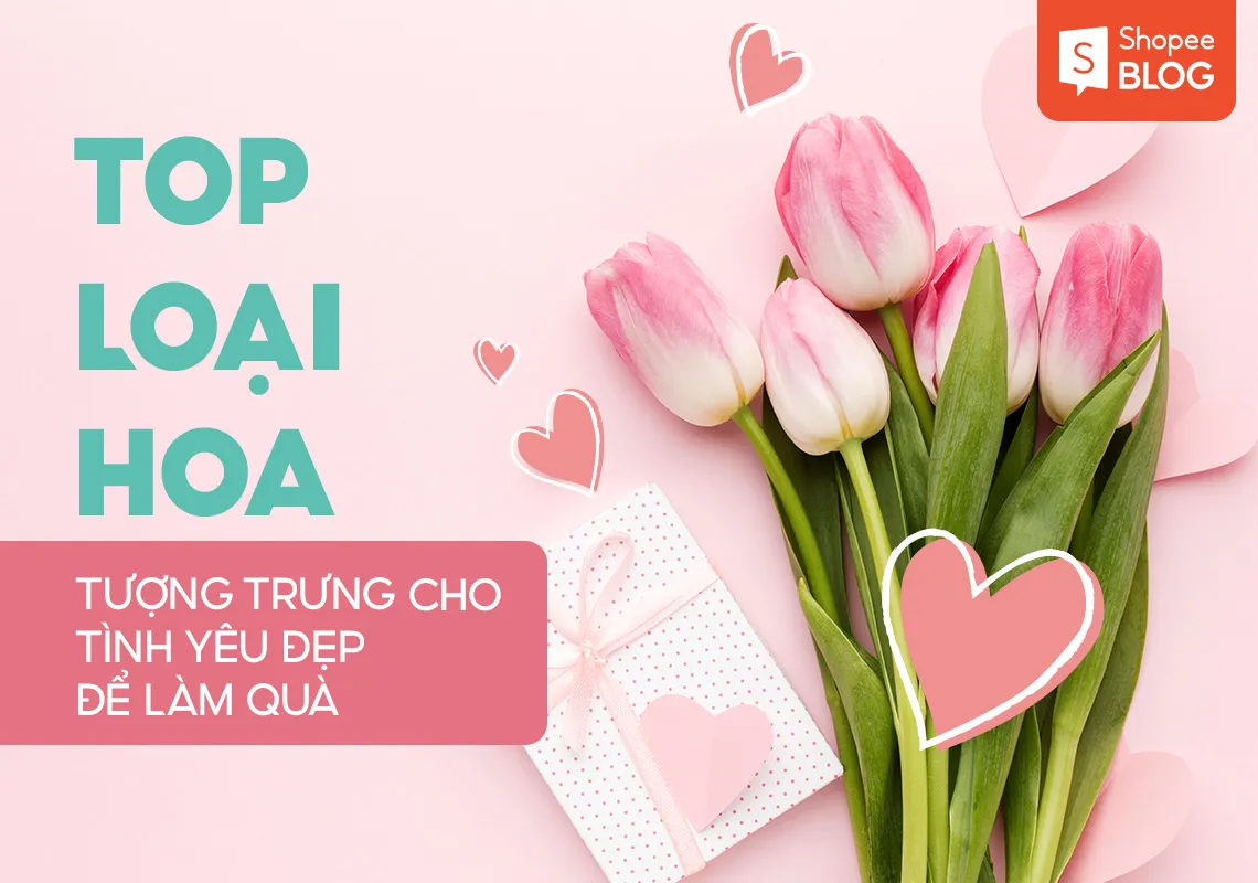 Top 7 loài hoa tượng trưng cho tình yêu đẹp để làm quà