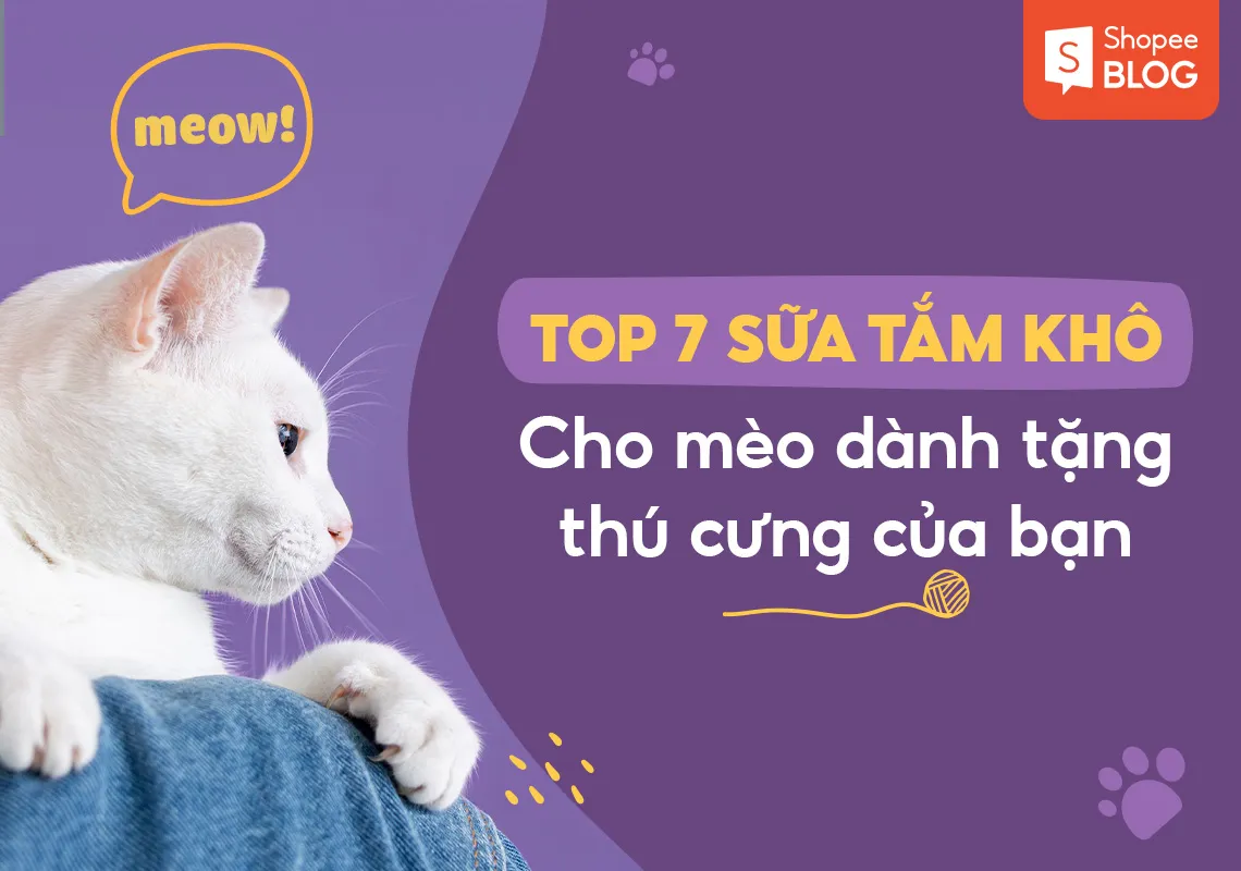 Top 7 sữa tắm khô cho mèo dành tặng thú cưng của bạn