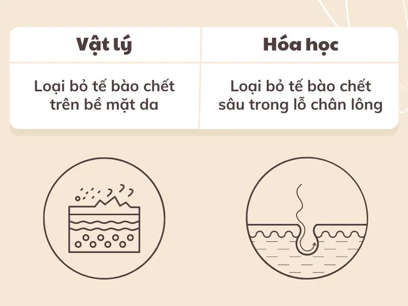 Top 9+ tẩy da chết cho da khô mịn màng hơn