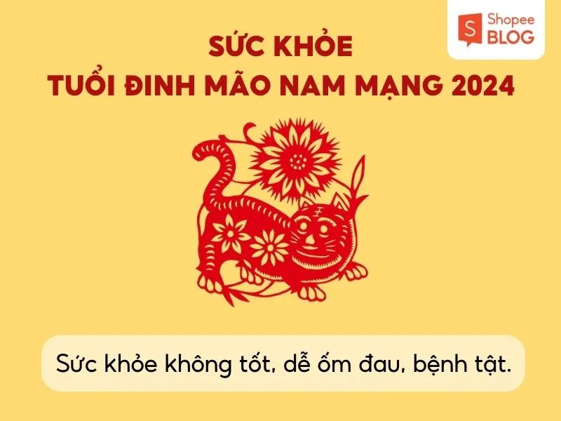 Tử vi tuổi Mão 1987 năm 2024 nam mạng có tốt hay không?