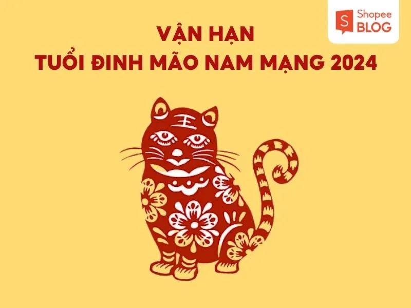 Tử vi tuổi Mão 1987 năm 2024 nam mạng có tốt hay không?