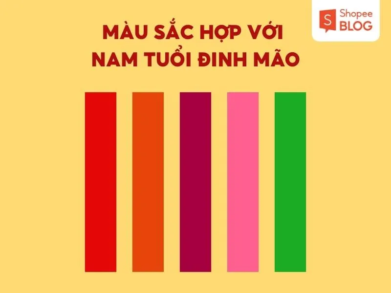 Tử vi tuổi Mão 1987 năm 2024 nam mạng có tốt hay không?