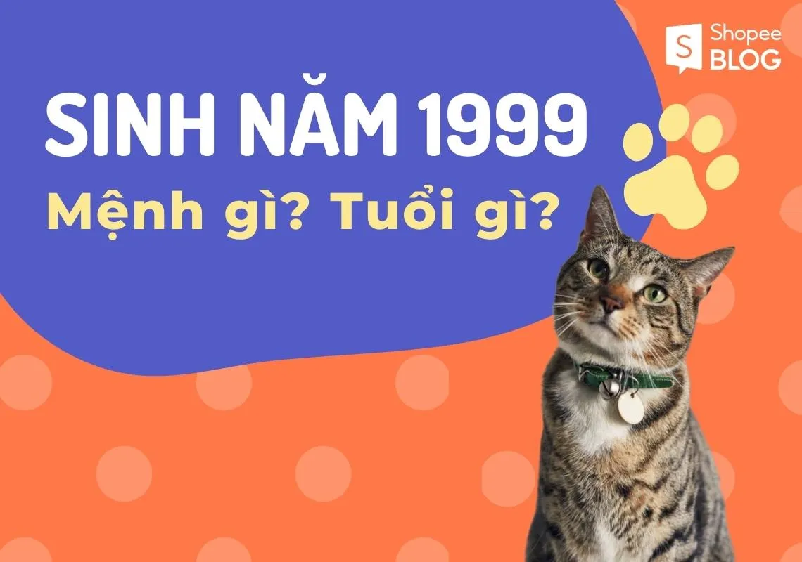 Tuổi Kỷ Mão 1999 mệnh gì? Tính cách người tuổi này ra sao?