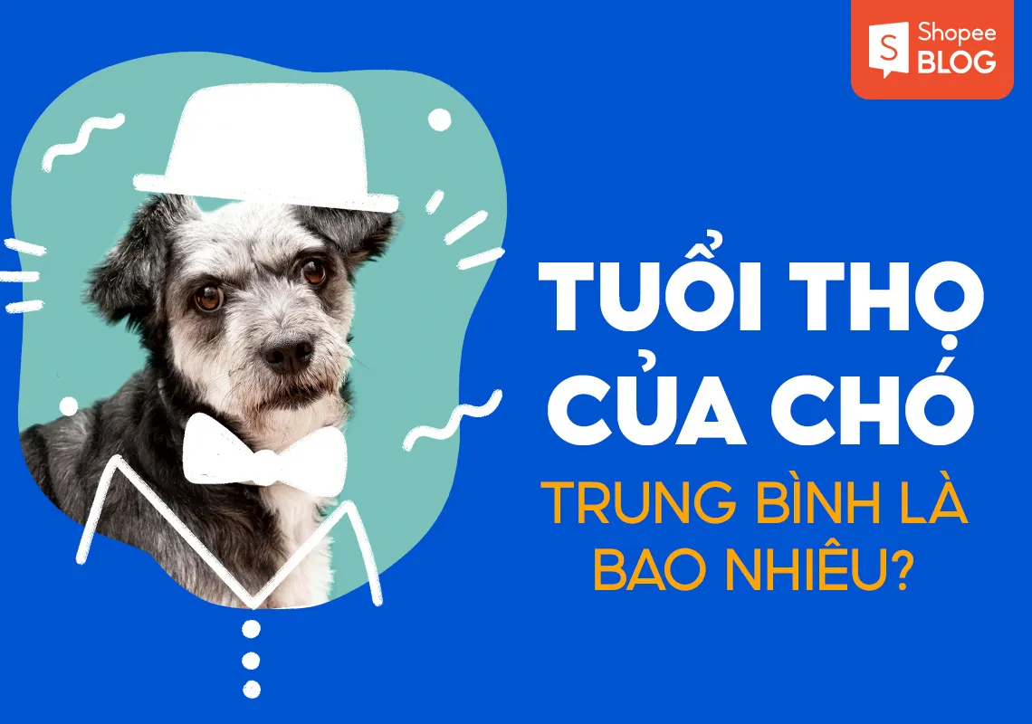 Tuổi thọ của chó trung bình là bao nhiêu?