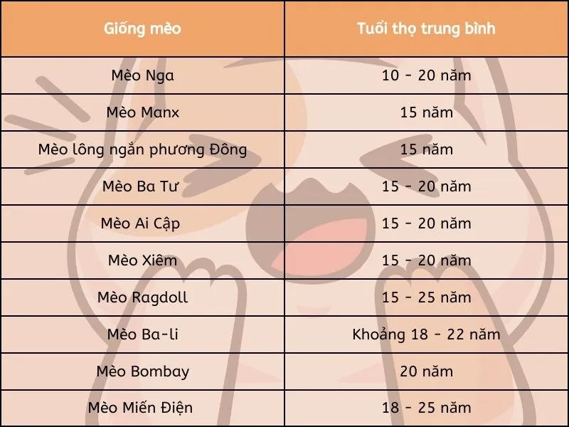 Tuổi thọ của mèo trung bình kéo dài được bao nhiêu năm?